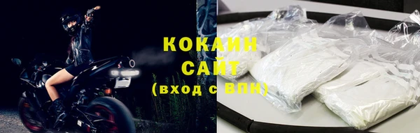 альфа пвп Бородино